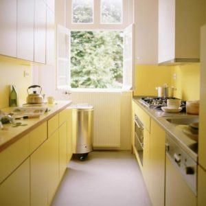 kitchen (285/345)